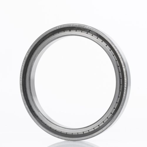 INA SL181876-E Zylinderrollenlager